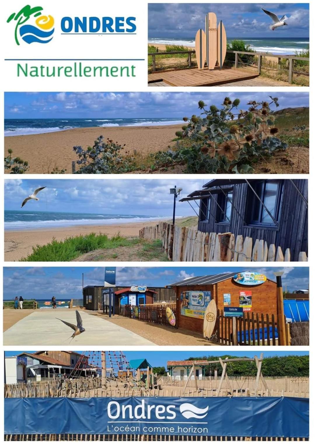 T2 Turquoise Ondres Plage Avec Piscine Et Tennis Exterior photo